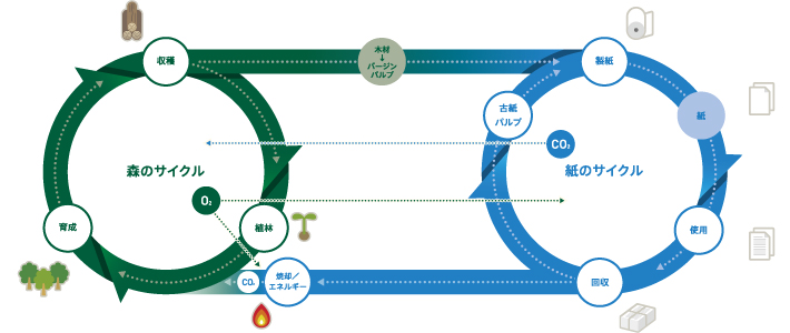 森のリサイクル　紙のリサイクル