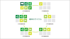 植林事業/原料調達