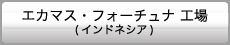 エカマス・フォーチュナ