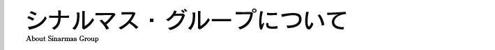 シナルマス・グループについて