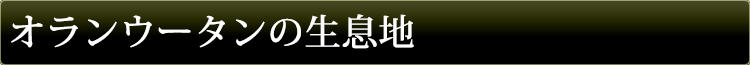 オランウータンの生息地